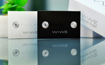 WIWE – 来自心脏的信息